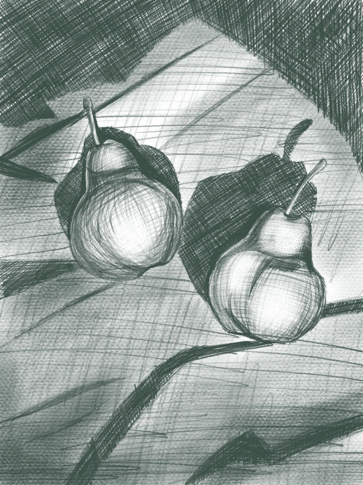 Still Life, Digital Drawings